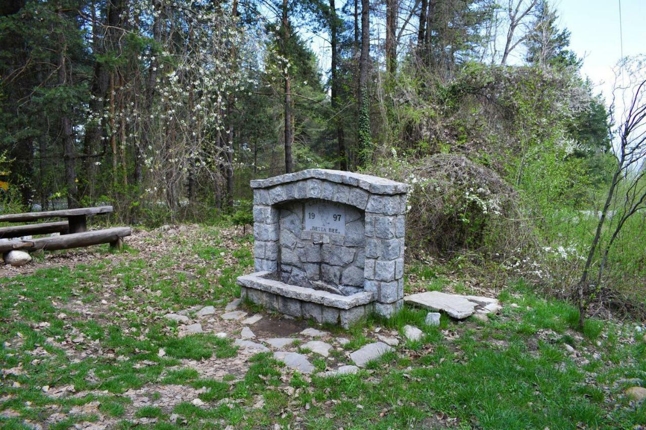 Detelina Residence Banszko Kültér fotó